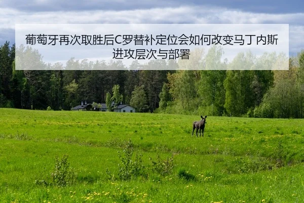 葡萄牙再次取胜后C罗替补定位会如何改变马丁内斯进攻层次与部署